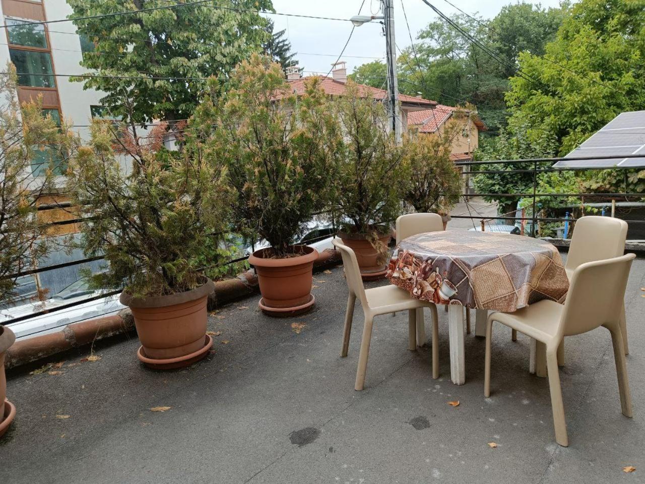 10 Coins Hostel & Tours Sofia Esterno foto